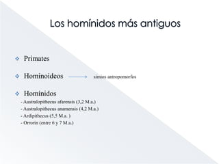 Hijos de África: Lucy