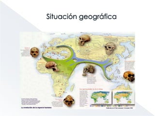 Antepasados del Homo SapiensLas especies más relacionadas con los humanos son:     - Homo habilis     - Homo ergaster     - Homo erectus     - Homo antecessor     - Homo neanderthalensis