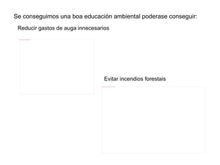 O deber común de manter, protexer e mellorar a calidade do medio,como contribución á protección da saúde humana e á defensa do equilibrio ecolóxico. 