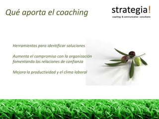 Qué aporta el coaching


 Herramientas para identificar soluciones

 Aumenta el compromiso con la organización 
 fomentando las relaciones de confianza

 Mejora la productividad y el clima laboral
 