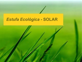 Estufa Ecológica - SOLAR
 
