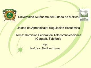 Universidad Autónoma del Estado de México


Unidad de Aprendizaje: Regulación Económica

Tema: Comisión Federal de Telecomunicaciones
             (Cofetel), Telefonía
                   Por:
         José Juan Martínez Lovera
 