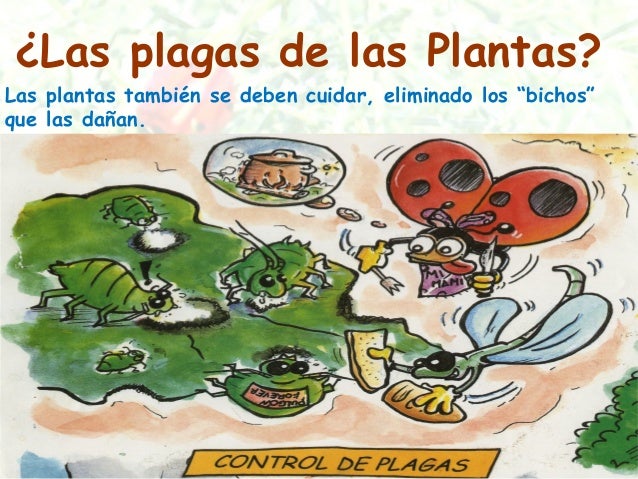 Presentación colegio