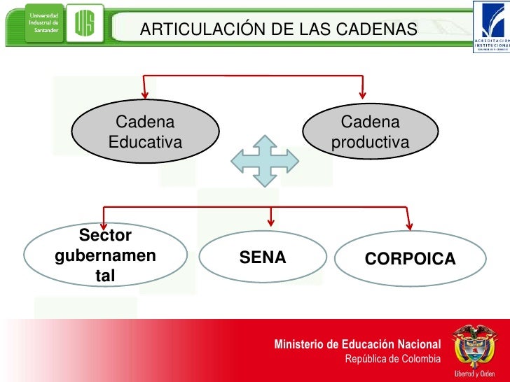cadena productiva agroindustrial proceso de articulaci 243 n alianza educativa agroindustrial cadena productiva agroindustrial proceso de articulaci 243 n alianza educativa agroindustrial