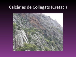 Calcàries de Collegats (Cretaci) 