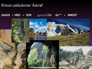 Roca calcària: karst 