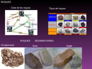 Conglomerat Gres Argila Cicle de les roques Tipus de roques ROQUES ROQUES  SEDIMENTARIES 