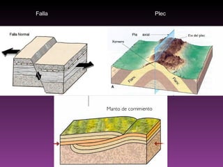Falla Plec 