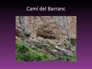 Camí del Barranc 