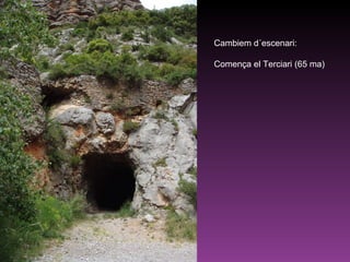 Cambiem d´escenari:  Comença el Terciari (65 ma) 