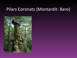 Pilars Coronats (Montardit- Baro) 