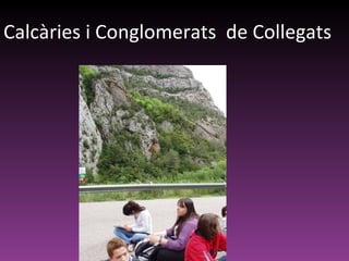 Calcàries i Conglomerats  de Collegats 