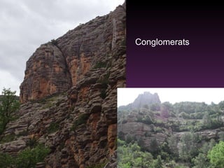 Conglomerats 