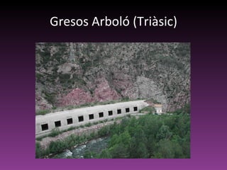 Gresos Arboló (Triàsic) 