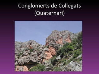 Conglomerts de Collegats (Quaternari) 