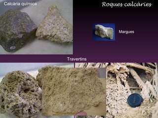 Roques calcàries Travertins Calcària química Margues 