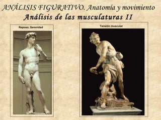 ANÁLISIS FIGURATIVO. Anatomía y movimiento
Análisis de las musculaturas II
Reposo. Serenidad Tensión muscular
 
