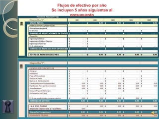 Flujos de efectivo por añoSe incluyen 5 años siguientes al presupuesto 