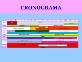 CRONOGRAMA
 