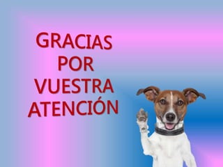 Presentación comercio simulado