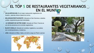 EL TOP 5 DE RESTAURANTES VEGETARIANOS
EN EL MUNDO
• AN-ALANPAKA-MA: Es el mejor restaurante vegetariano de
Austria , además ofrece clases de cocina.
• MILLENIUM RESTAURANTE: Ubicado en San francisco, estados
unidos. experiencia gourmet inolvidable.
• LE GRENIER DE NOTRE DAME: Ubicado en París, Francia es
uno de los pioneros en la comida vegetariana.
• BLACK VANILLA: Ubicado en Londres, Inglaterra y sus platos
son contemporáneos y modernos.
• JOIA: Ubicado en Milan, Italia y el chef a cargo es Pierto Leeman
 