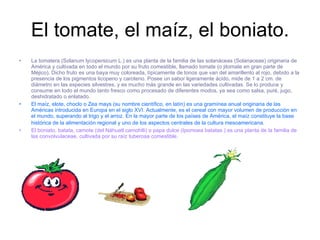 El tomate, el maíz, el boniato. La tomatera (Solanum lycopersicum   L.) es una planta de la familia de las solanáceas (Solanaceae) originaria de América y cultivada en todo el mundo por su fruto comestible, llamado tomate (o jitomate en gran parte de Méjico). Dicho fruto es una baya muy coloreada, típicamente de tonos que van del amarillento al rojo, debido a la presencia de los pigmentos licopeno y caroteno. Posee un sabor ligeramente ácido, mide de 1 a 2 cm. de diámetro en las especies silvestres, y es mucho más grande en las variedades cultivadas. Se lo produce y consume en todo el mundo tanto fresco como procesado de diferentes modos, ya sea como salsa, puré, jugo, deshidratado o enlatado.   El maíz, elote, choclo o Zea mays (su nombre científico, en latín) es una gramínea anual originaria de las Américas introducida en Europa en el siglo XVI. Actualmente, es el cereal con mayor volumen de producción en el mundo, superando al trigo y el arroz. En la mayor parte de los países de América, el maíz constituye la base histórica de la alimentación regional y uno de los aspectos centrales de la cultura mesoamericana.   El boniato, batata, camote (del Náhuatl camohtli) o papa dulce (Ipomoea batatas ) es una planta de la familia de las convolvulaceae, cultivada por su raíz tuberosa comestible.  