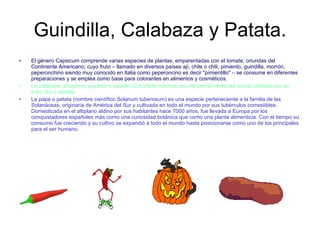 Guindilla, Calabaza y Patata. El género Capsicum comprende varias especies de plantas, emparentadas con el tomate, oriundas del Continente Americano; cuyo fruto – llamado en diversos países ají, chile o chili, pimiento, guindilla, morrón, peperonchino siendo muy conocido en Italia como peperoncino es decir "pimientillo" – se consume en diferentes preparaciones y se emplea como base para colorantes en alimentos y cosméticos.  La calabaza, ahuyama, auyama o zapallo ( Cucurbita maxima ) es una planta herbácea anual cultivada por su fruto, flor y semilla.  La papa o patata (nombre científico Solanum tuberosum) es una especie perteneciente a la familia de las Solanáceas, originaria de América del Sur y cultivada en todo el mundo por sus tubérculos comestibles. Domesticada en el altiplano aldino por sus habitantes hace 7000 años, fue llevada a Europa por los conquistadores españoles más como una curiosidad botánica que como una planta alimenticia. Con el tiempo su consumo fue creciendo y su cultivo se expandió a todo el mundo hasta posicionarse como uno de los principales para el ser humano.  