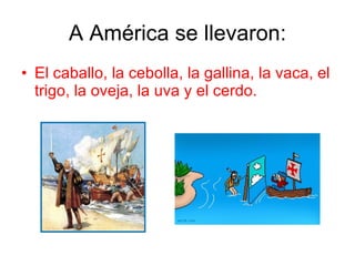 A América se llevaron: El caballo, la cebolla, la gallina, la vaca, el trigo, la oveja, la uva y el cerdo. 