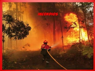 INCENDIOS