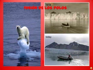 FUSIÓN DE LOS POLOSFUSIÓN DEL HIELO GLACIAR