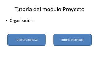 Tutoría del módulo Proyecto
• Organización
Tutoría Colectiva Tutoría Individual
 