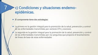  El componente tiene dos estrategias:
 La primera es la gestión integral para la promoción de la salud, prevención y control
de las enfermedades transmitidas por vectores ETV y zoonosis.
 La segunda es la gestión integral para la promoción de la salud, prevención y control
de las enfermedades transmitidas por vía sanguínea que propone el levantamiento
de líneas de base de estas enfermedades
 