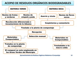 ACOPIO DE RESIDUOS ORGÁNICOS BIODEGRADABLES
MATERIA VERDE MATERIA SECA
Restos de frutas
y verduras
Restos de flores
secas
Aserrín y viruta
Restos de
césped y poda
Recolección diferenciada e
incautaciones de la Aduana
Carpinterías y cementerio
Traslado a la planta de compostaje
Recepción
El compost se esta empleando en
las Áreas Verdes del Municipio
Materiales no
Compostables
Selección manual
Materiales
Compostables
Trasladados a la
macro celda
Tratados en la planta
de compostaje
 