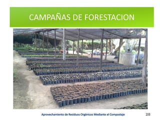 CAMPAÑAS DE FORESTACION
28
 
