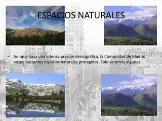 ESPACIOS NATURALES
• Aunque haya una intensa presión demográfica, la Comunidad de Madrid,
posee bastantes espacios naturales protegidos. Solo veremos algunos:
 