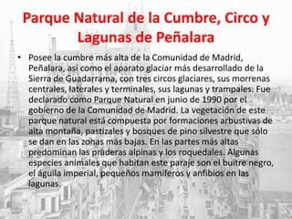 Parque Natural de la Cumbre, Circo y
Lagunas de Peñalara
• Posee la cumbre más alta de la Comunidad de Madrid,
Peñalara, así como el aparato glaciar más desarrollado de la
Sierra de Guadarrama, con tres circos glaciares, sus morrenas
centrales, laterales y terminales, sus lagunas y trampales. Fue
declarado como Parque Natural en junio de 1990 por el
gobierno de la Comunidad de Madrid. La vegetación de este
parque natural está compuesta por formaciones arbustivas de
alta montaña, pastizales y bosques de pino silvestre que sólo
se dan en las zonas más bajas. En las partes más altas
predominan las praderas alpinas y los roquedales. Algunas
especies animales que habitan este paraje son el buitre negro,
el águila imperial, pequeños mamíferos y anfibios en las
lagunas.
 
