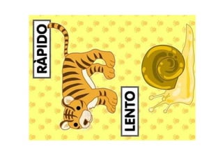 Presentación conceptos