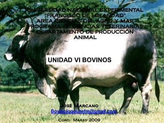 UNIVERSIDAD NACIONAL EXPERIMENTAL
     “FRANCISCO DE MIRANDAD”
   AREA CIENCIAS DEL AGRO Y MAR
PROGRAMA DE CIENCIAS VETERINARIAS
   DEPARTAMENTO DE PRODUCCIÓN
              ANIMAL




     UNIDAD VI BOVINOS




          José Marcano
      Bovinologounefm@gmail.com
        Coro, Marzo 2009
 