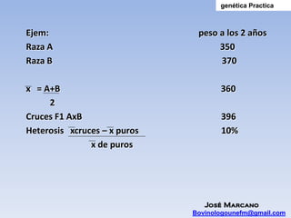genética Practica



Ejem:                          peso a los 2 años
Raza A                              350
Raza B                              370

x = A+B                              360
     2
Cruces F1 AxB                        396
Heterosis xcruces – x puros          10%
               x de puros




                                 José Marcano
                              Bovinologounefm@gmail.com
 