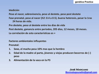genética Practica


Medición
Peso al nacer, sobrevivencia, peso al destete, peso post destete
Fase prenatal, peso al nacer (h2: 0.4 a 0.5), buena heterosis, pesar la 1ras
    24 horas de vida.
Pre destete, peso al destete entre los días de vida
Post destete, ganancia entre periodos, 205 dias, 12 meses, 18 meses.
La correlación de esta características es +

Factores ambientales influyentes
Prenatal:
1. Sexo, el macho pesa 10% mas que la hembra
2. Edad de la madre al parto, jóvenes y viejas producen becerros de (-)
    peso
3. Alimentación de la vaca en la P3


                                                      José Marcano
                                                   Bovinologounefm@gmail.com
 