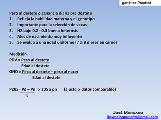 genética Practica

Peso al destete o ganancia diaria pre destete
1. Refleja la habilidad materna y el genotipo
2. Importante para la selección de vacas
3. H2 bajo 0.2 - 0.3 buena heterosis
4. Mes de nacimiento muy influyente
5. Se evalúa a una edad uniforme (7 a 8 meses en carne)

Medición
PDV = Peso al destete
      Edad al destete
GND = Peso al destete – peso al nacer
            Edad al destete

P205= Pd – Pn x 205 x pn     (ajuste o datos comparable)
        E


                                                      José Marcano
                                                   Bovinologounefm@gmail.com
 