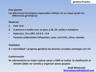 genética Practica


Post destete
Las diferencias fenotípicas expresadas reflejan en su mayor grado las
   diferencias genotípicas

Medición
1. Feet test
2. A potrero o medio real, se pesa a 18, 24, salida a matadero.
• Heterosis, 10 a 20%, h2 0.4 – 0.6
• Factores ambientales influyentes; sexo, nutrición, clima, manejo.

Viabilidad
A > mortalidad < progreso genético los bovinos cruzados aventajan con 5%

Conformación
Se sobreeestima es mejor evaluar pesos y GND se realiza la clasificación al
    destete (debe ser sencilla y organizar pocos grupos)
                                                     José Marcano
                                                  Bovinologounefm@gmail.com
 