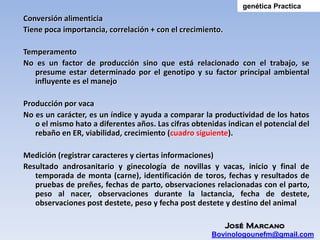 genética Practica
Conversión alimenticia
Tiene poca importancia, correlación + con el crecimiento.

Temperamento
No es un factor de producción sino que está relacionado con el trabajo, se
   presume estar determinado por el genotipo y su factor principal ambiental
   influyente es el manejo

Producción por vaca
No es un carácter, es un índice y ayuda a comparar la productividad de los hatos
   o el mismo hato a diferentes años. Las cifras obtenidas indican el potencial del
   rebaño en ER, viabilidad, crecimiento (cuadro siguiente).

Medición (registrar caracteres y ciertas informaciones)
Resultado androsanitario y ginecología de novillas y vacas, inicio y final de
   temporada de monta (carne), identificación de toros, fechas y resultados de
   pruebas de preñes, fechas de parto, observaciones relacionadas con el parto,
   peso al nacer, observaciones durante la lactancia, fecha de destete,
   observaciones post destete, peso y fecha post destete y destino del animal

                                                         José Marcano
                                                      Bovinologounefm@gmail.com
 