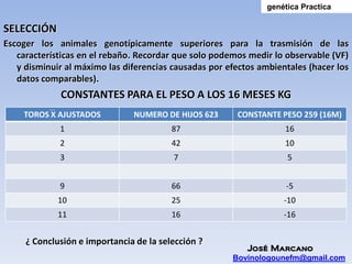 genética Practica

SELECCIÓN
Escoger los animales genotípicamente superiores para la trasmisión de las
   características en el rebaño. Recordar que solo podemos medir lo observable (VF)
   y disminuir al máximo las diferencias causadas por efectos ambientales (hacer los
   datos comparables).
             CONSTANTES PARA EL PESO A LOS 16 MESES KG
    TOROS X AJUSTADOS          NUMERO DE HIJOS 623      CONSTANTE PESO 259 (16M)
             1                           87                         16
             2                           42                         10
             3                           7                           5


             9                           66                          -5
             10                          25                         -10
             11                          16                         -16


     ¿ Conclusión e importancia de la selección ?
                                                          José Marcano
                                                       Bovinologounefm@gmail.com
 