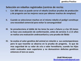 genética Practica


Selección en rebaños registrados (centros de recría)
I.    Con 300 vacas se puede cerrar el rebaño (realizar pruebas de producción
      y de progenie con las mejores vacas par obtener machos de remplazo)

II.   Cuando se seleccionan machos en el mismo rebaño el pedigrí constituye
      una necesidad comercial para evitar la consanguinidad

III. Se preselecciona el doble de los toros ha usar a futuro y a los 18 meses
     se hace una evaluación de conformación, antes de servicio 2 a 2.5 años
     se realiza una evaluación androsanitaria y una prueba de libido

IV. Se evalúa el valor genético del animal en relación a sus contemporáneos
    pero lo que trasmite se observa en la prueba de progenie, lo que da
    mas seguridad de su valor de cría o valor hereditario, cuando los hijos
    estén evaluados sean superiores y no demuestren defectos genéticos
    entonces el toro se usara.

                                                      José Marcano
                                                   Bovinologounefm@gmail.com
 