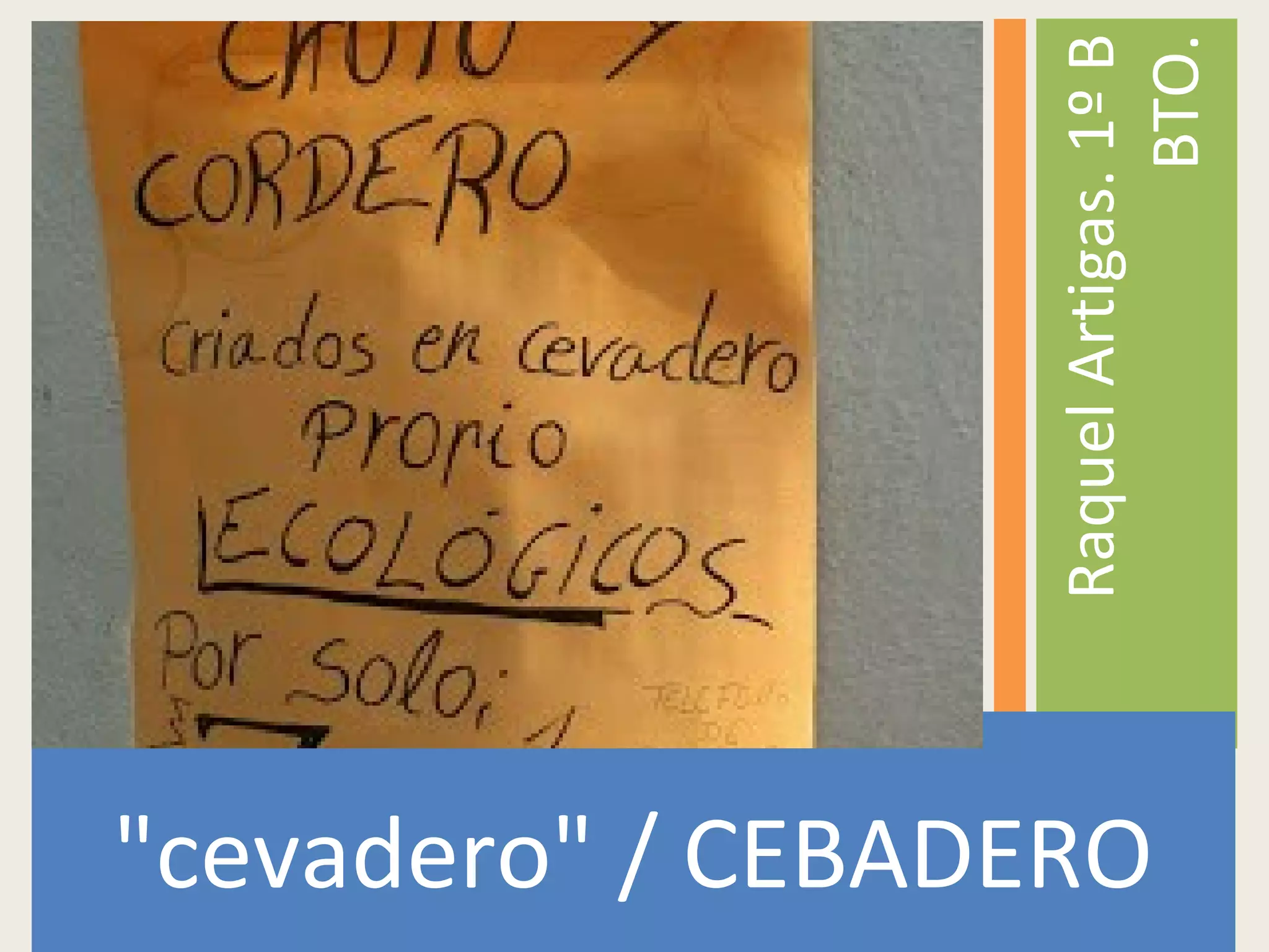 "cevadero" / CEBADERO
RaquelArtigas.1ºB
BTO.
 