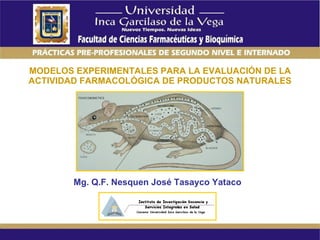 MODELOS EXPERIMENTALES PARA LA EVALUACIÓN DE LA ACTIVIDAD FARMACOLÓGICA DE PRODUCTOS NATURALES Mg. Q.F. Nesquen José Tasayco Yataco   