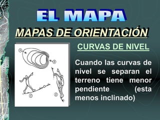 Cuando las curvas de
nivel se separan el
terreno tiene menor
pendiente (esta
menos inclinado)
MAPAS DE ORIENTACIÓN
CURVAS DE NIVEL
 