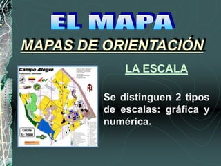 Se distinguen 2 tipos
de escalas: gráfica y
numérica.
MAPAS DE ORIENTACIÓN
LA ESCALA
 
