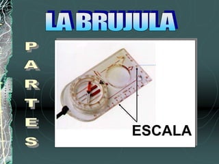 ESCALA
 